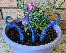 Load image into Gallery viewer, Clay Houseplant Tentacle Sets
