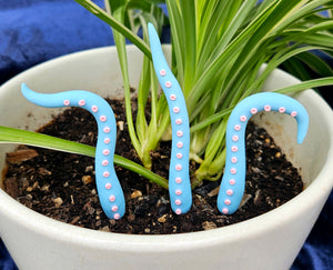 Clay Houseplant Tentacle Sets