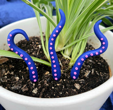 Load image into Gallery viewer, Clay Houseplant Tentacle Sets
