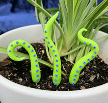 Load image into Gallery viewer, Clay Houseplant Tentacle Sets
