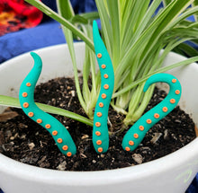 Load image into Gallery viewer, Clay Houseplant Tentacle Sets
