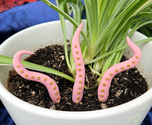 Load image into Gallery viewer, Clay Houseplant Tentacle Sets
