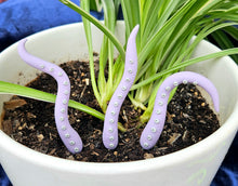 Load image into Gallery viewer, Clay Houseplant Tentacle Sets
