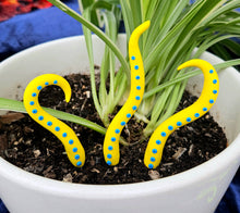 Load image into Gallery viewer, Clay Houseplant Tentacle Sets
