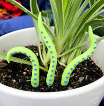 Load image into Gallery viewer, Clay Houseplant Tentacle Sets
