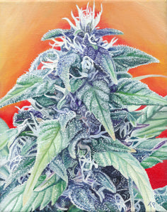 "Mellow Marley" Fine Art Print