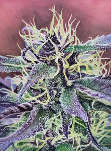 "Clementine" Fine Art Print